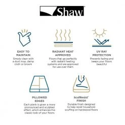 Canaveral 6-3/8 in. W Maize Engineered Maple Hardwood Flooring (30.48 sq. ft./case) by Shaw -Shaw stor online maize shaw engineered hardwood dh86901001 fa 1000