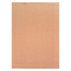 Rust 5 ft. x 7 ft. Solid Flatweave Indoor/Outdoor Area Rug by World Rug Gallery